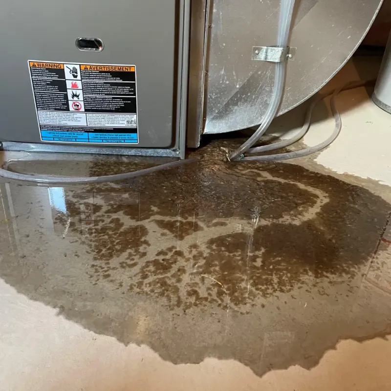 Appliance Leak Cleanup in Prague, OK
